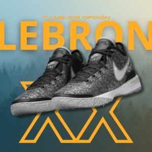 NIKE LEBRON XX GRIS