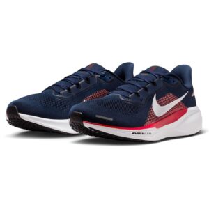 ZAPATOS NIKE PAGASUS 41